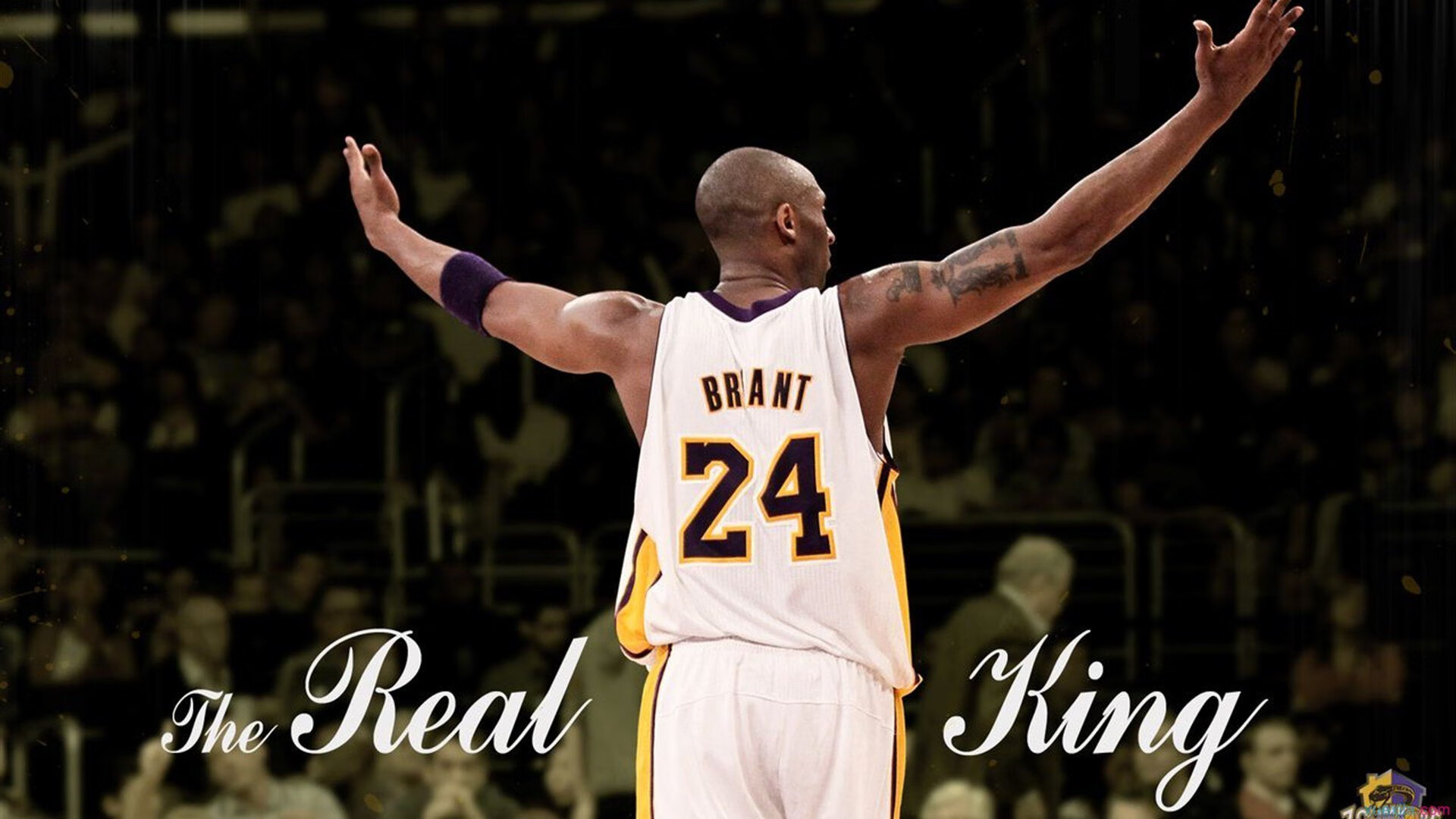 LD 乐动APP下载 -凯恩在勇士比赛中突破纪录，赛况扑朔迷离引发热议！