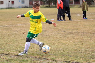 LD 乐动APP下载 -C罗回归赛场，逆转首场状态亮眼，塞尔维亚队观众沸腾！